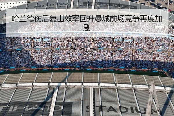img_1787679102641_6611_0_869.jpg